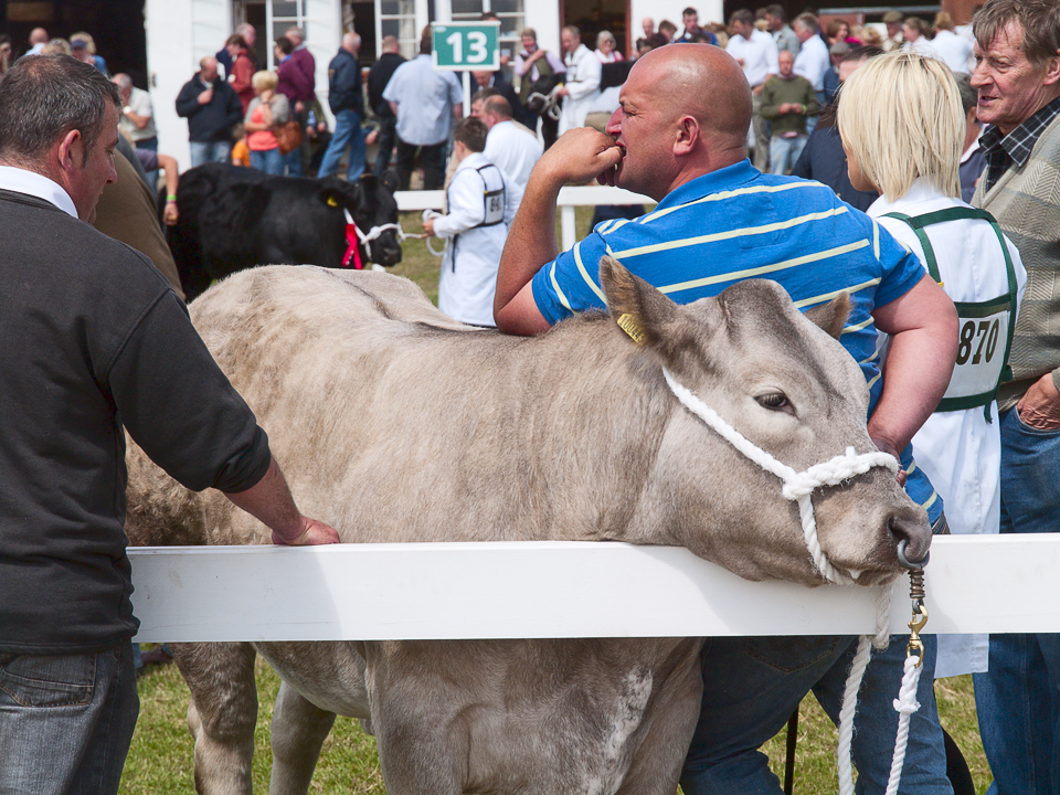 Great Yorkshire Show, 2011