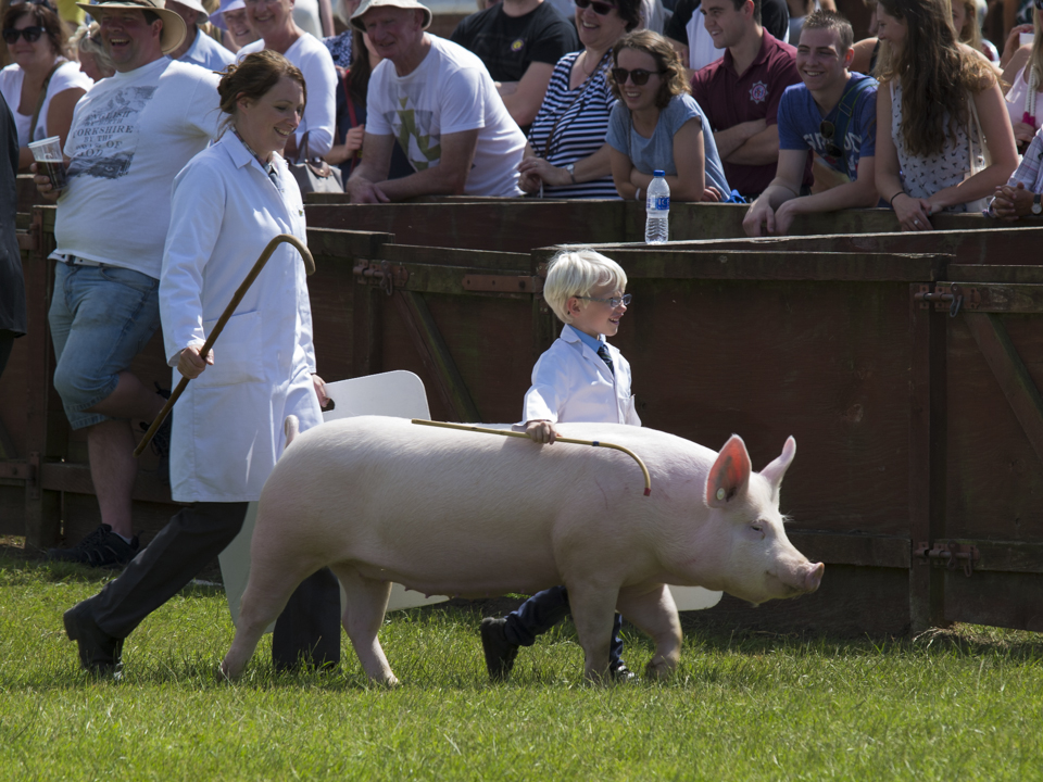 Great Yorkshire Show, 2015