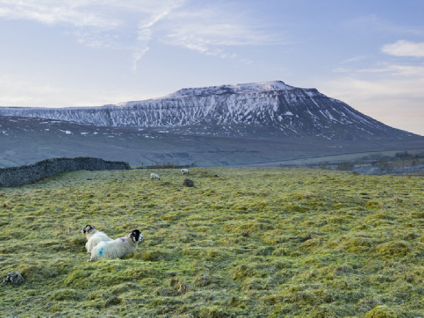 Ingleborough