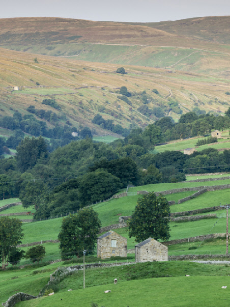 Looking up the Swale valley from Gunnerside