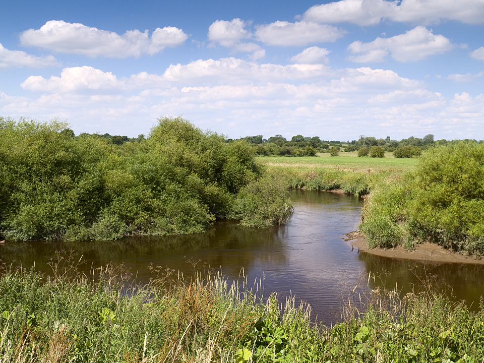 Wharfe's mouth