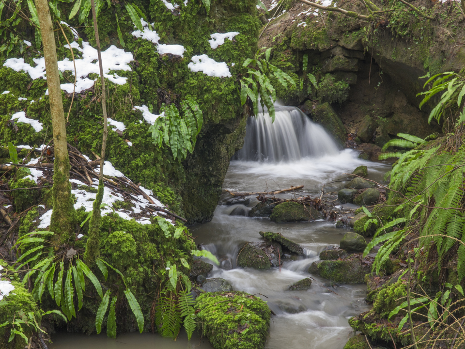 Waterfall, Hackfall Wood