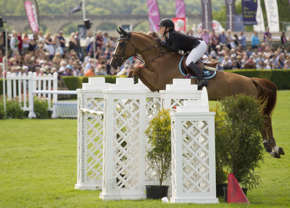 Showjumper, Great Yorkshire Show, 2015