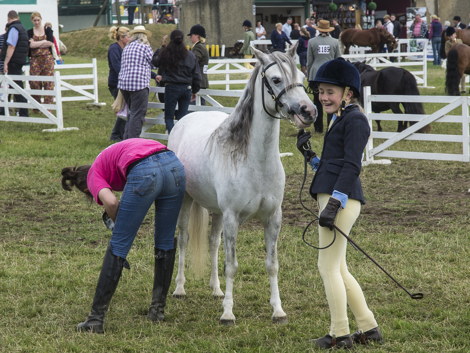 Young horse handler, Great Yorkshire Show