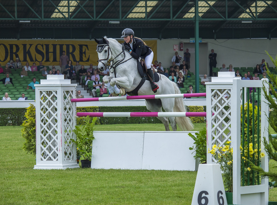 Showjumper, Great Yorkshire Show