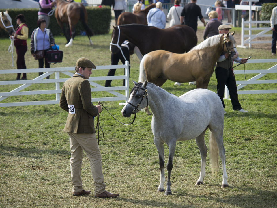 Great Yorkshire Show, 2015