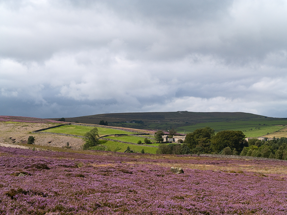 Nought Moor