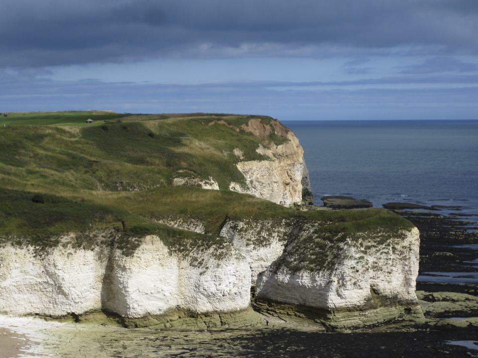 Cliffs at Flamborough Head