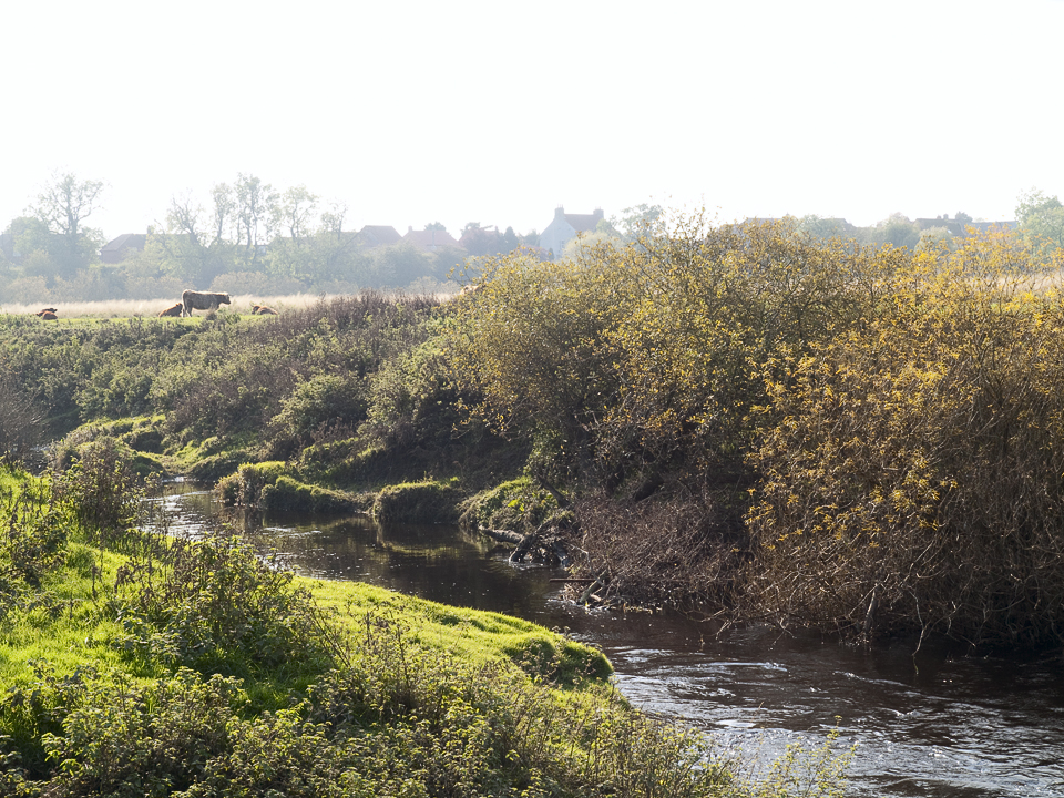 Moor Monkton