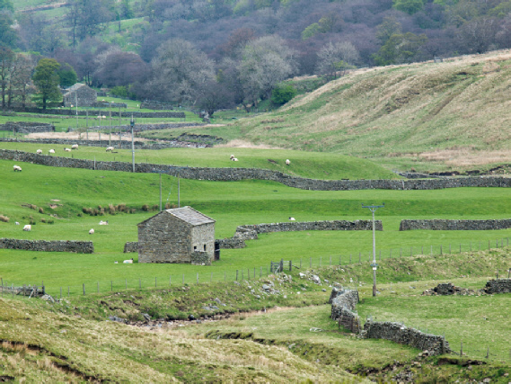 Woodale, Coverdale