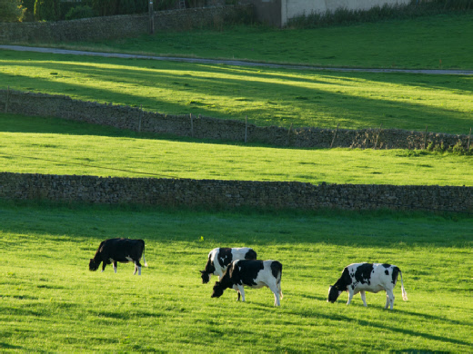 Countryside near Addingham