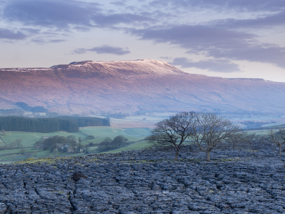 Whernside from Southerscales