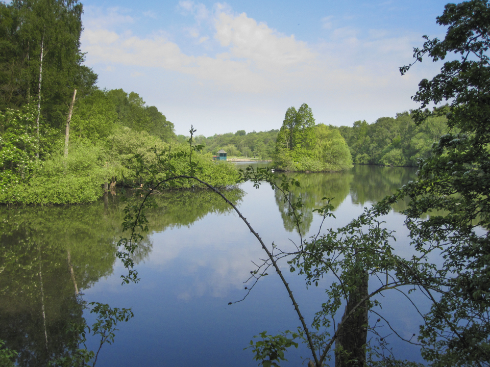 The lake at Golden Acre park