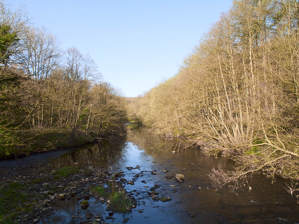 River Nidd, Nidd Gorge