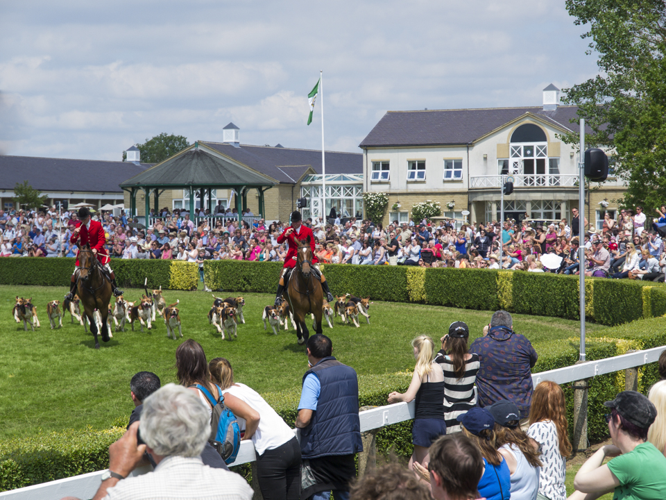 Great Yorkshire Show, 2015