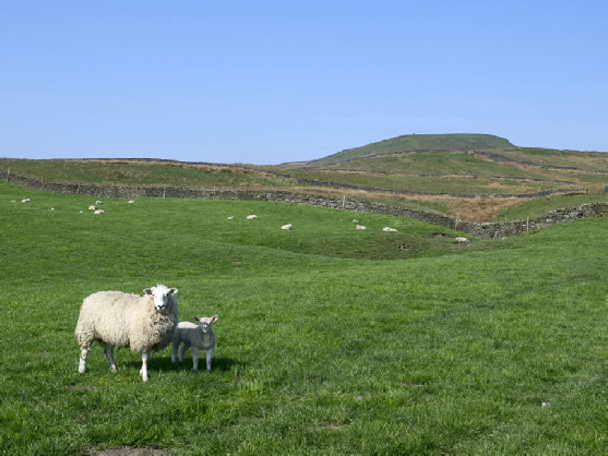 Penhill