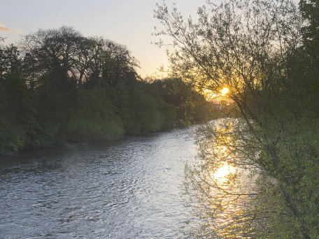 River Ure at West Tanfield