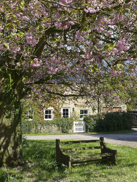 Springtime at Mickley