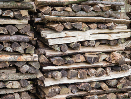 Wood pile, Ox Close Wood