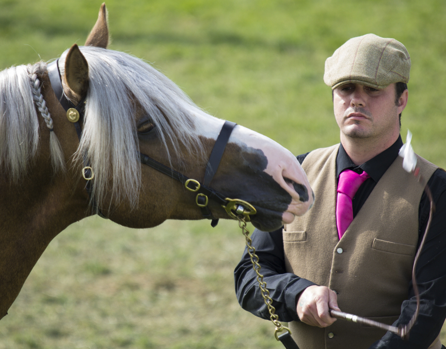 Great Yorkshire Show, 2015