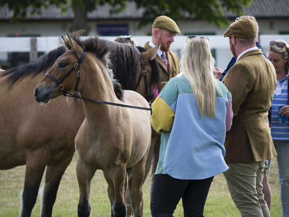 The Great Yorkshire Show, 2023