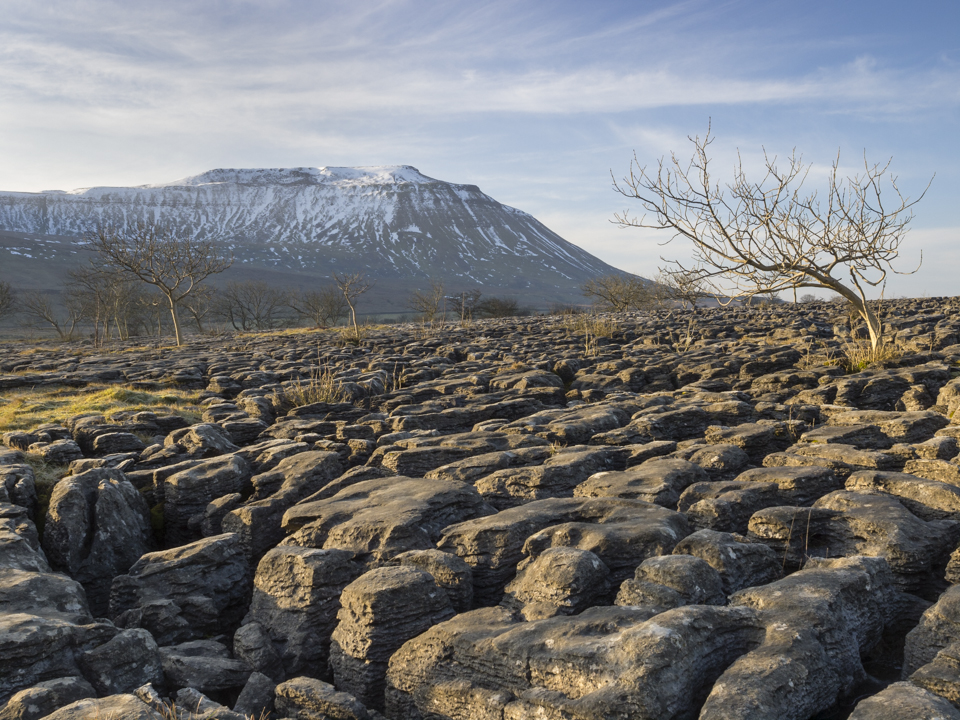 Ingleborough and the limestone pavement at Southerscales