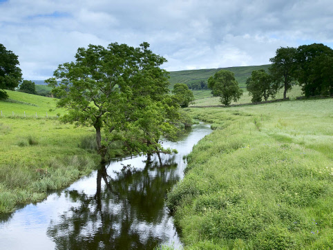 River Bain, Raydale