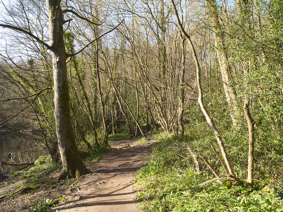 Riverside path, Nidd Gorge