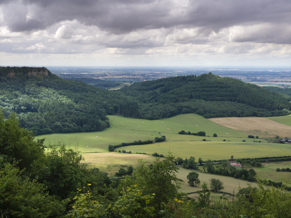 Roulston Scar and Hood Hill from Sutton Bank