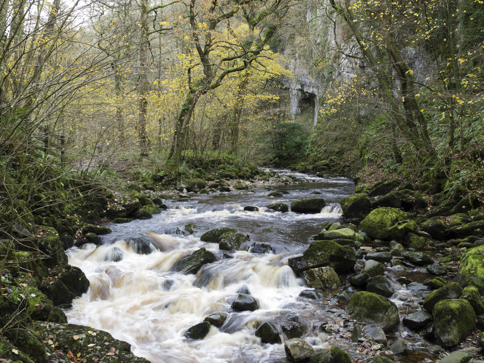 River Twiss