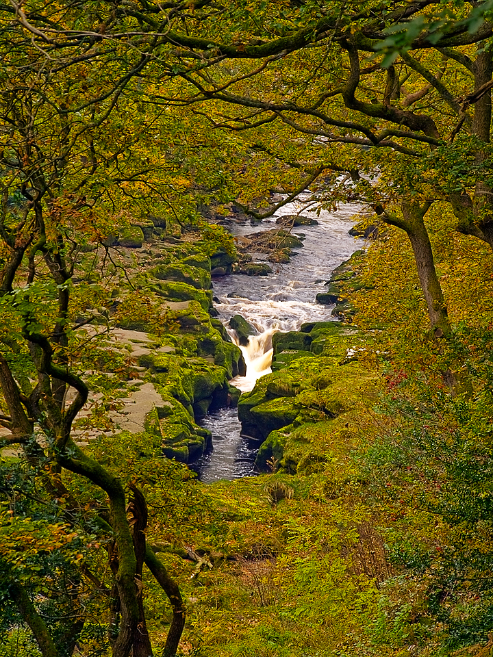 Strid