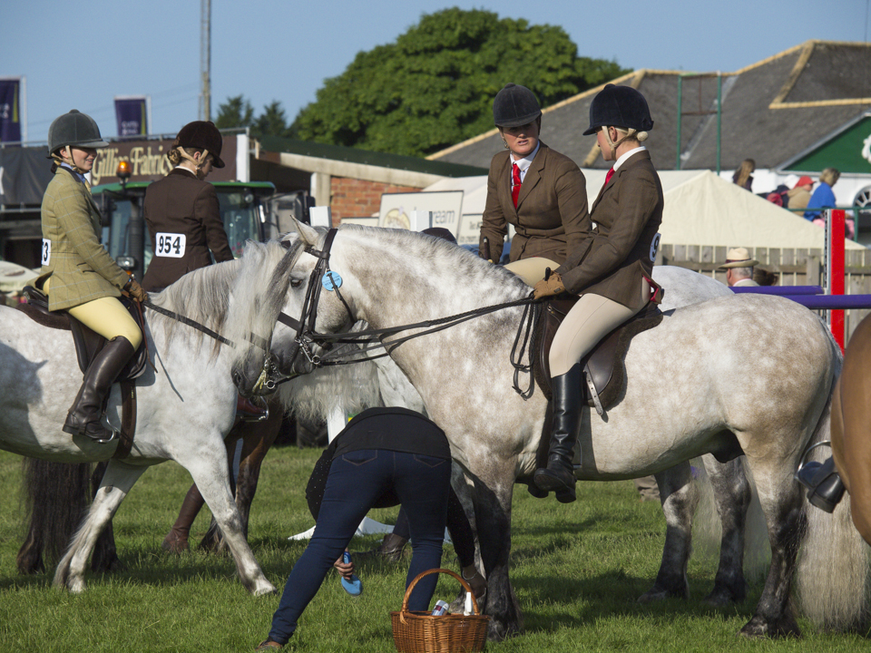 Great Yorkshire Show, 2015