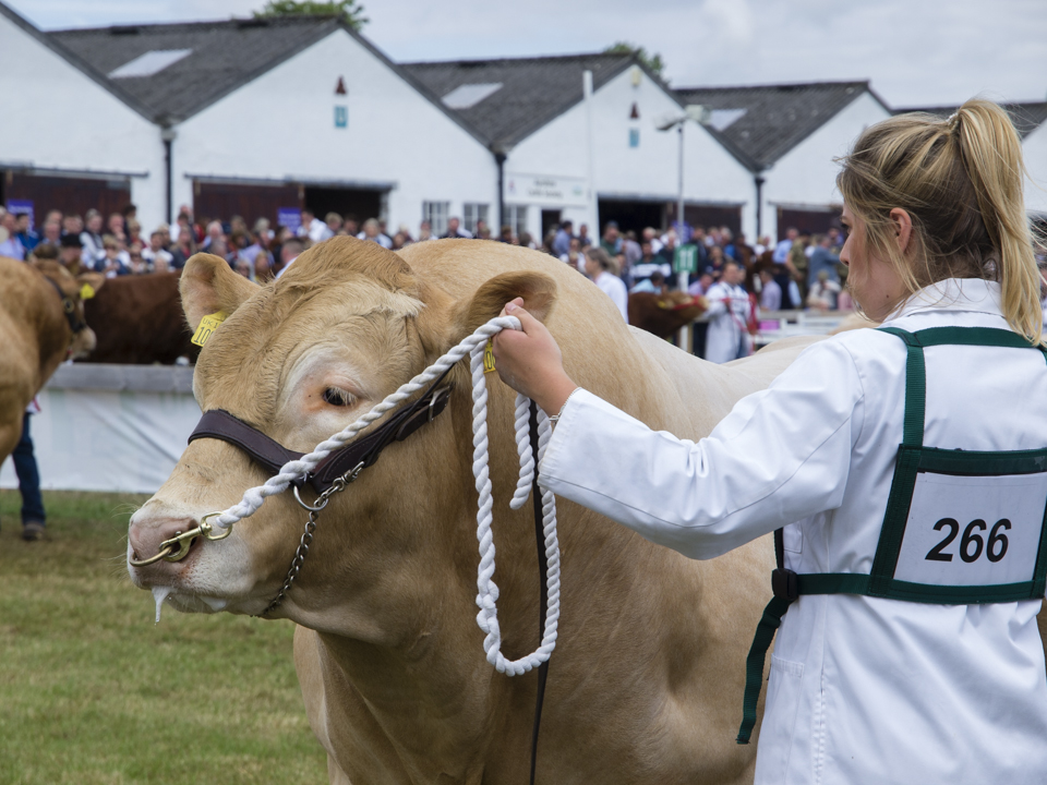 The Great Yorkshire Show, 2023