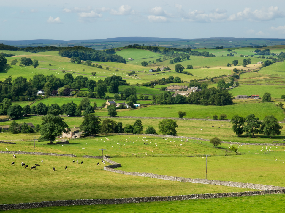 Western view from Haw Crag
