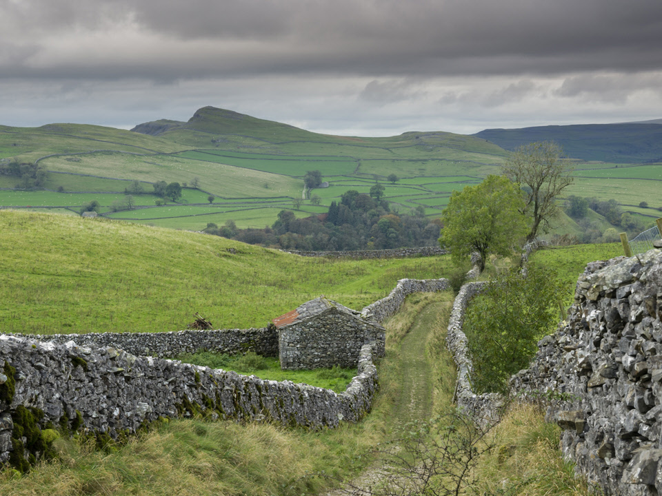 Goat Scar Lane
