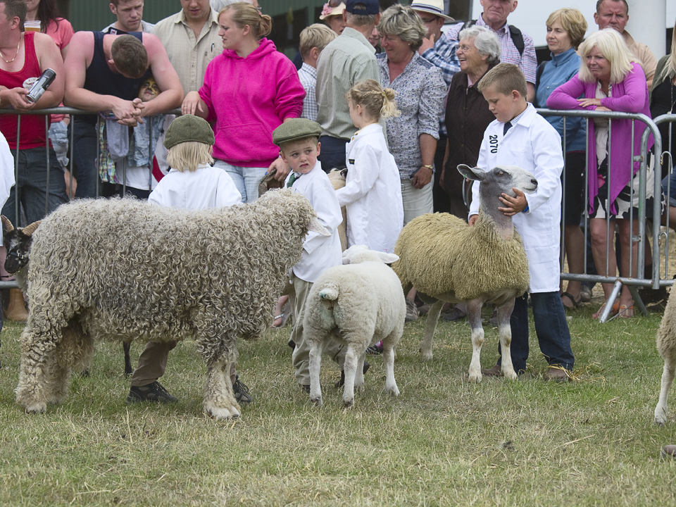 Young sheep handlers, Great Yorkshire Show