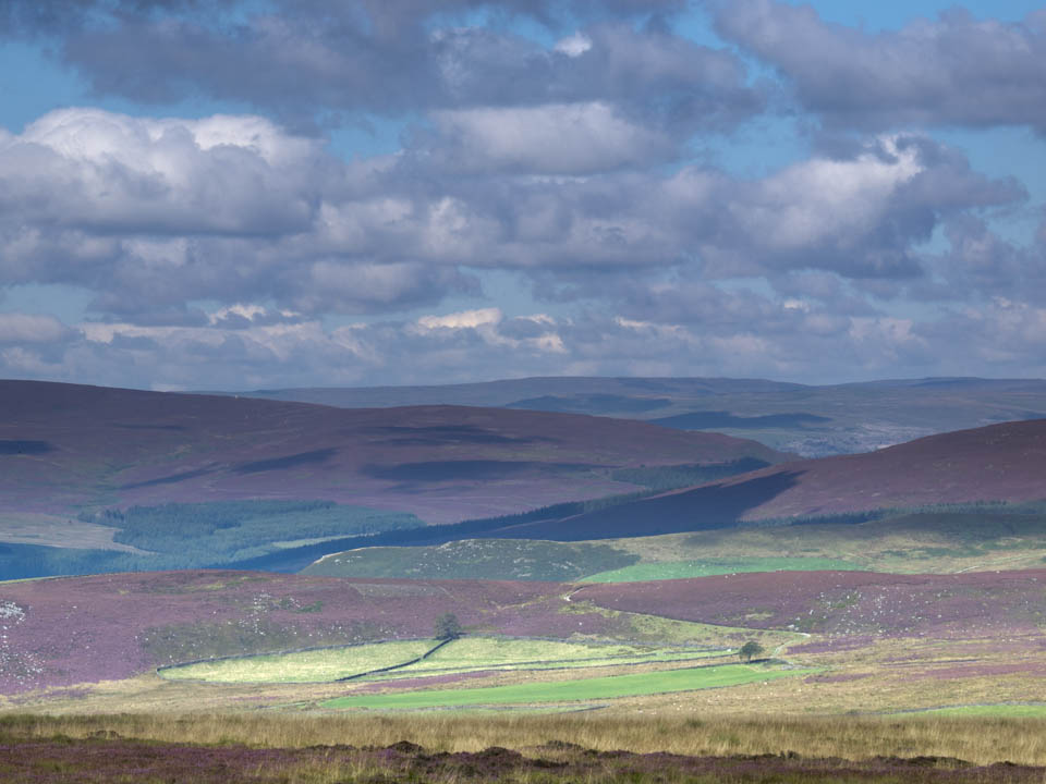 Wharfedale from Middleton Moor