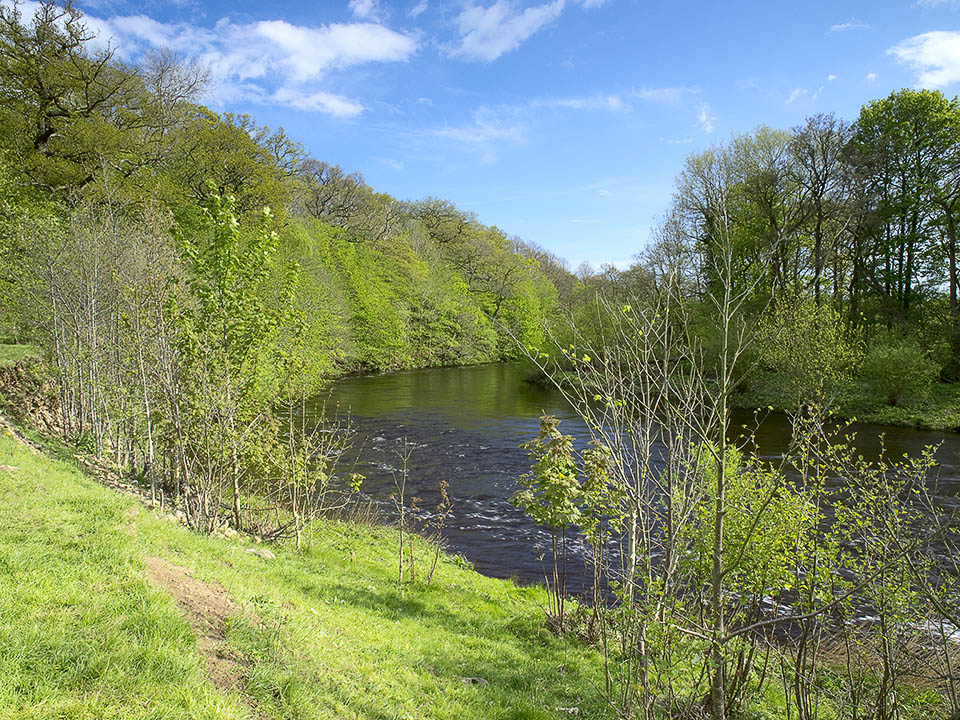 River Ure