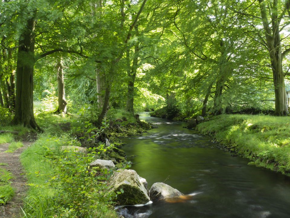 River Washburn