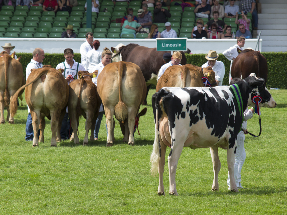 Great Yorkshire Show, 2015