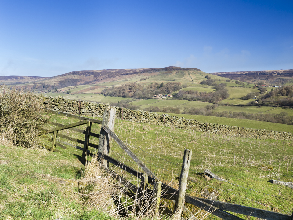 Farndale from Monket House
