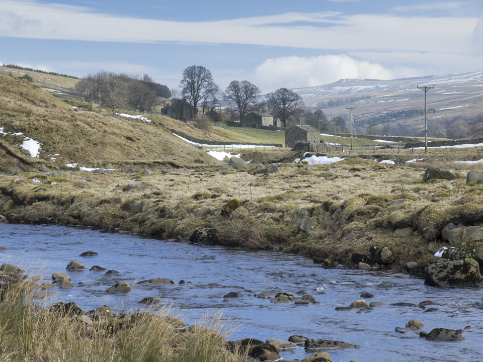 River Cover near Woodale