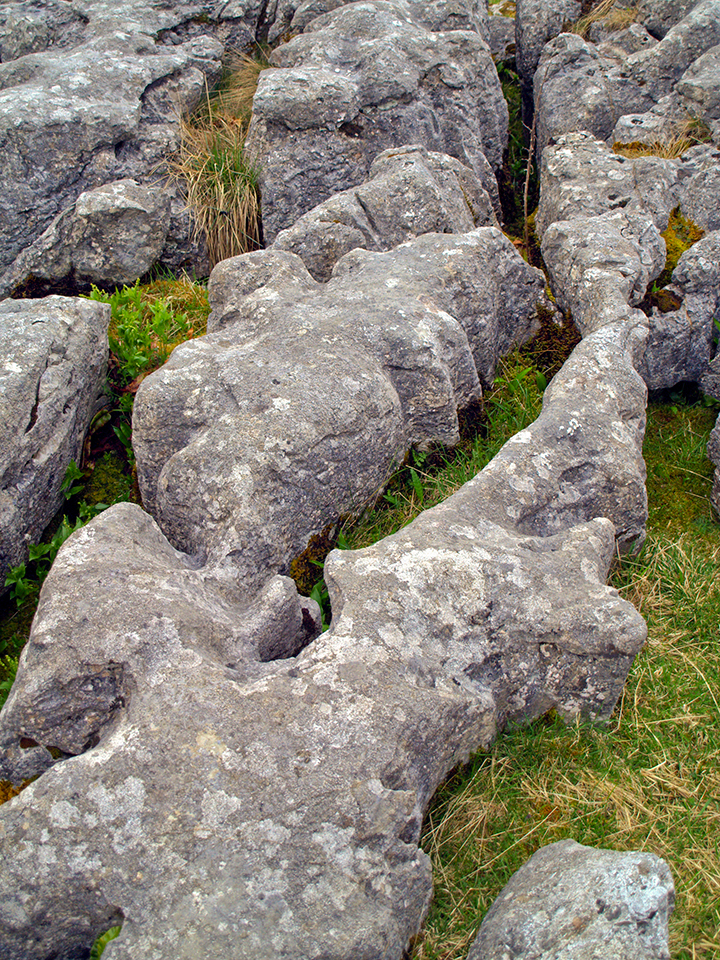 Limestone pavement