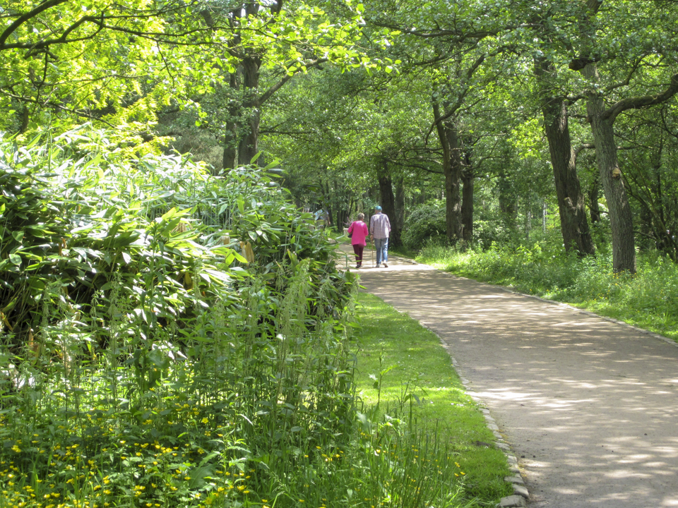 Golden Acre Park