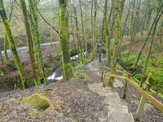 Skipton Castle Woods