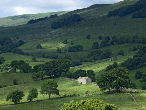 Raydale