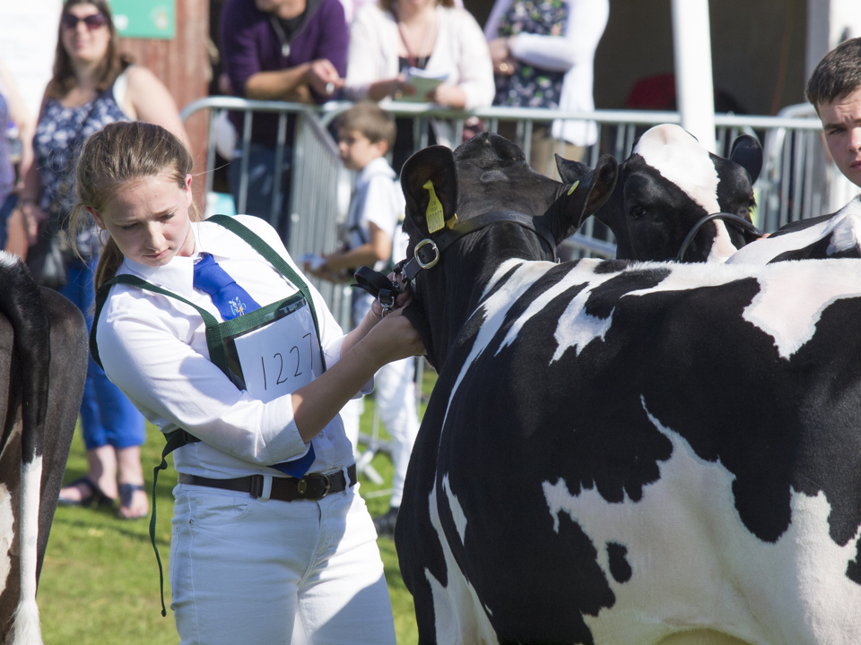 Great Yorkshire Show, 2015