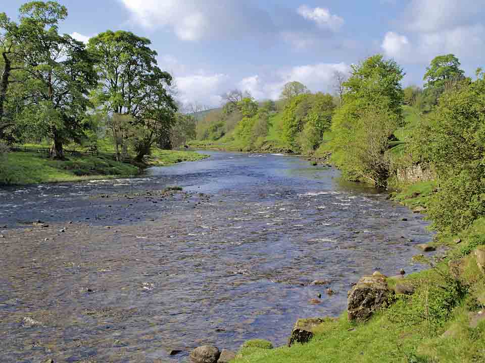 Wharfe meadows