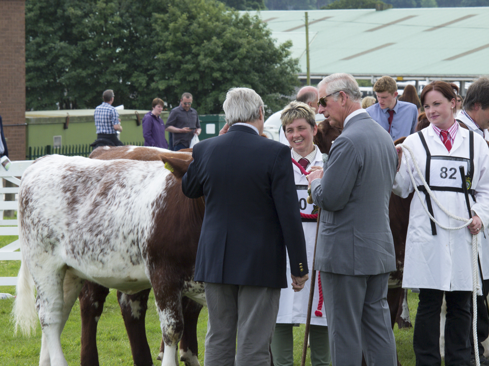 Great Yorkshire Show, 2015