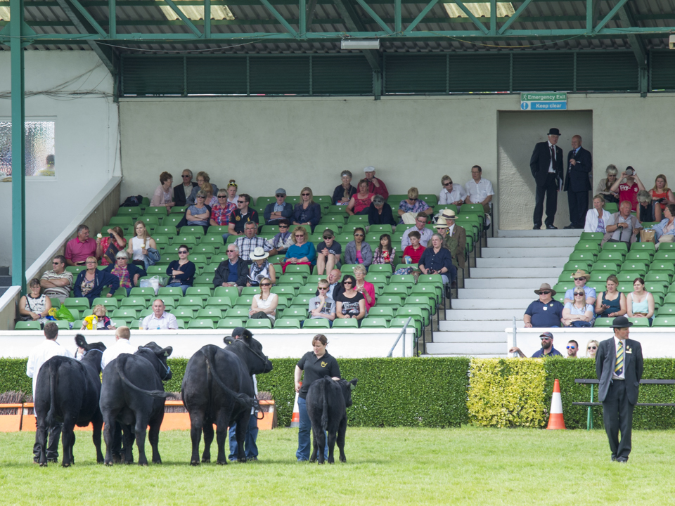 Great Yorkshire Show, 2015
